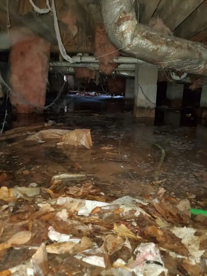 Crawl space flood assessment for Leak Detection & Repair in Encinitas